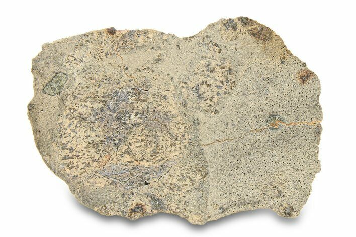 Eucrite Meteorite Slice ( g) - Jikharra #284811